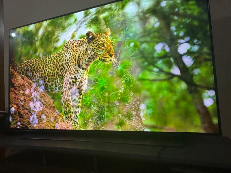 Télé LG 55 pouces Smart TV 4K OLED